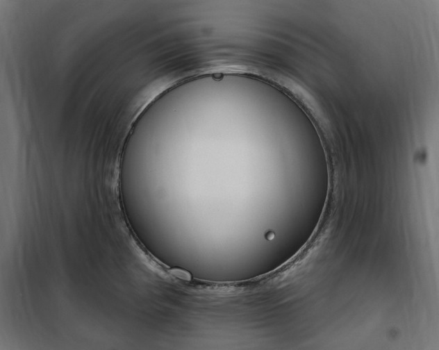 X0000100501193200806201708