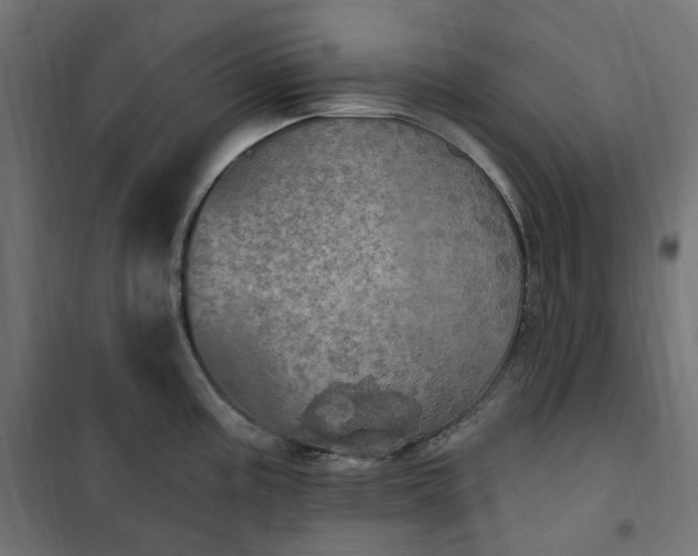 X0000100501195200806201708