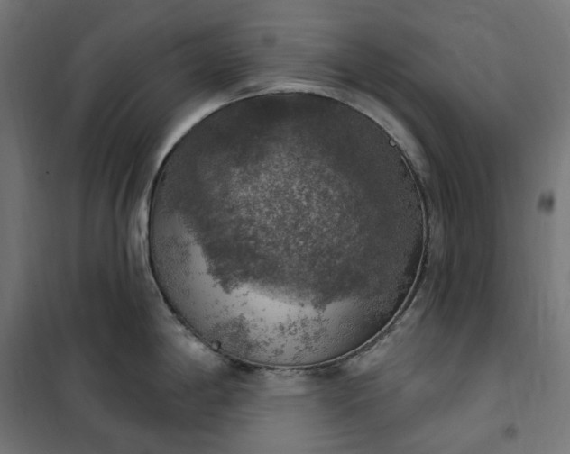 X0000100501198200806201708