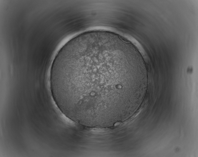 X0000100501199200806201708