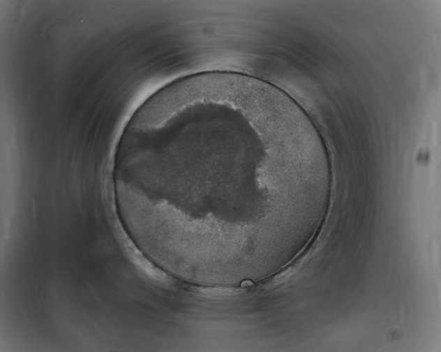 X0000100501200200806201708