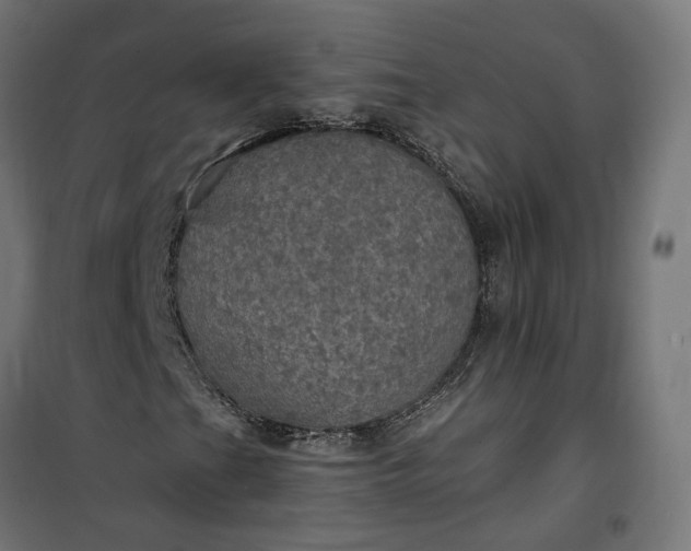 X0000100501201200806201707