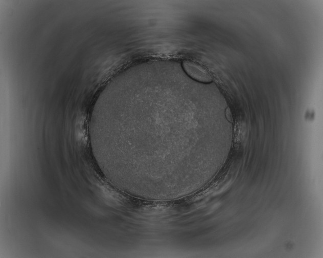 X0000100501202200806201707