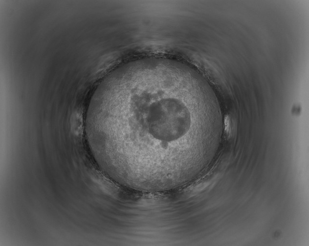 X0000100501203200806201707