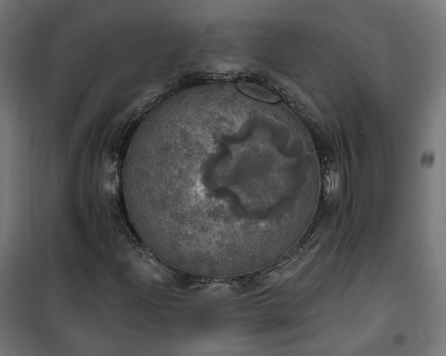 X0000100501204200806201707