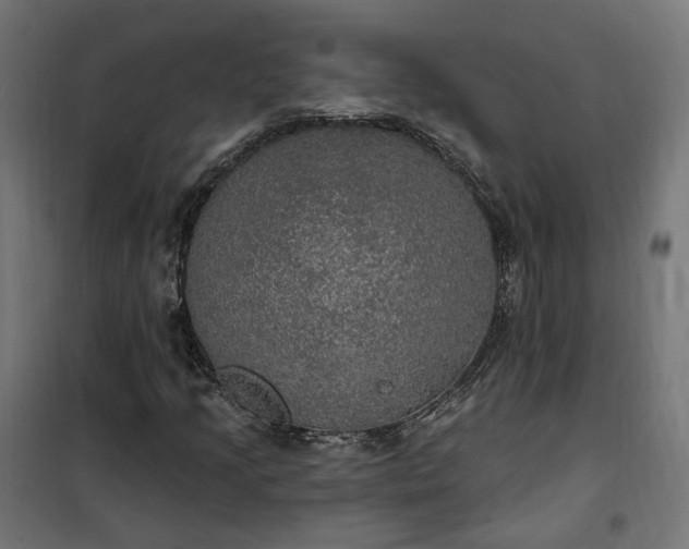 X0000100501205200806201707