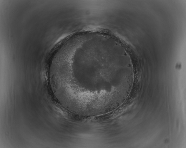 X0000100501206200806201707