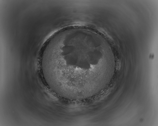 X0000100501208200806201707