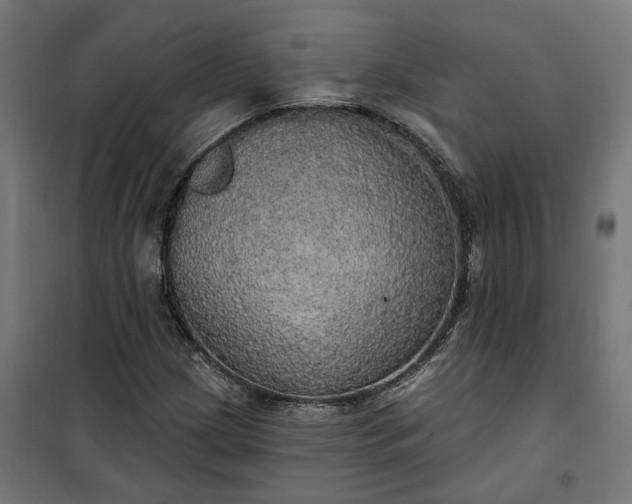 X0000100501209200806201707