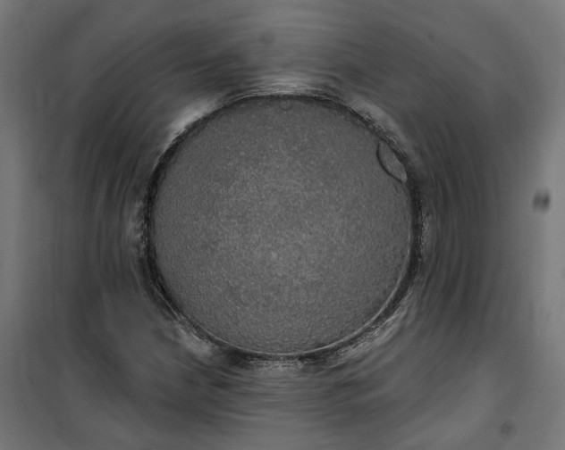 X0000100501210200806201707