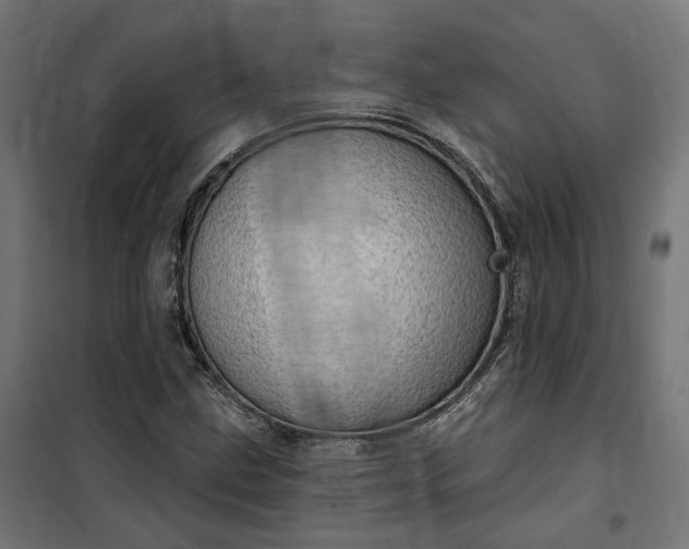 X0000100501211200806201707