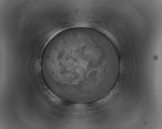 X0000100501212200806201707