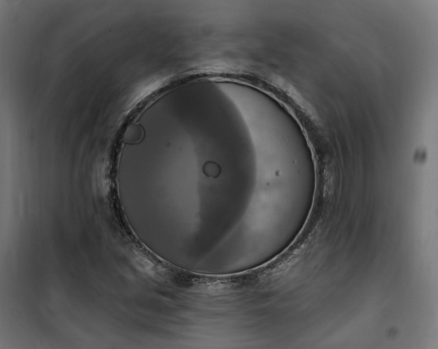 X0000100501213200806201707