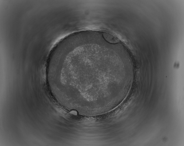 X0000100501214200806201707