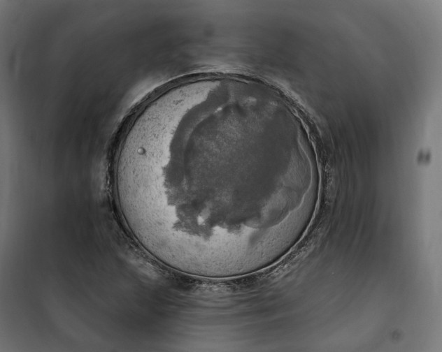 X0000100501215200806201707