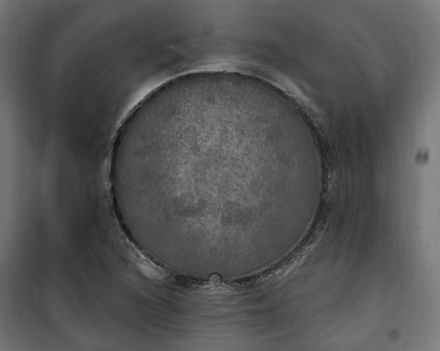 X0000100501216200806201707