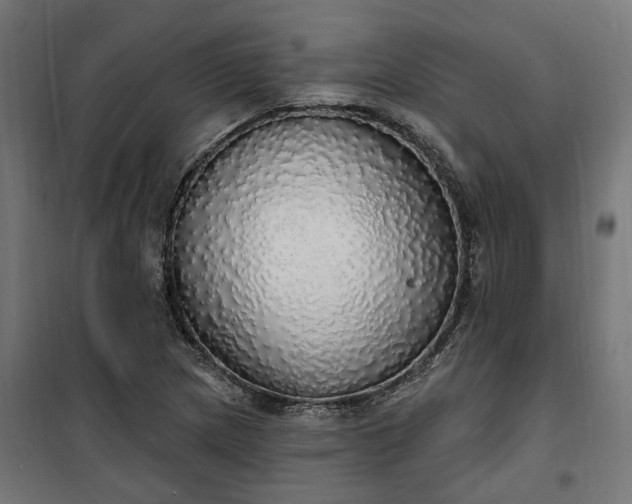 X0000100501217200806201707