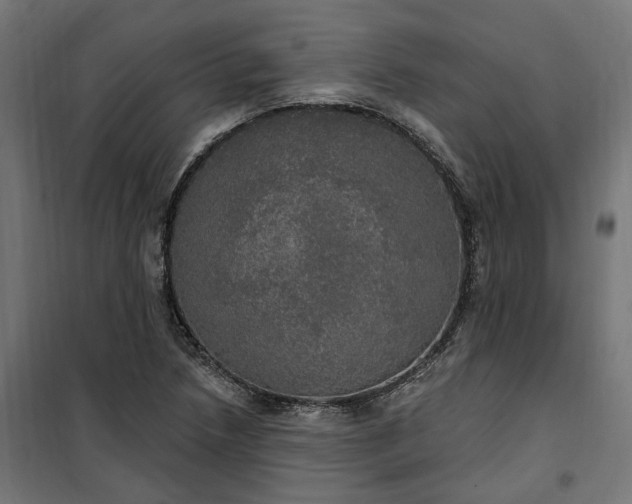 X0000100501218200806201707