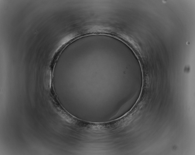 X0000100501219200806201707