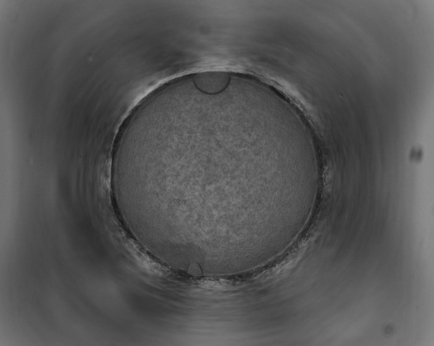 X0000100501220200806201707