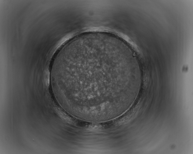 X0000100501221200806201707