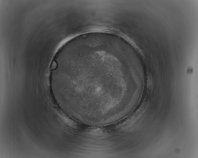 X0000100501222200806201707