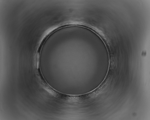 X0000100501223200806201707