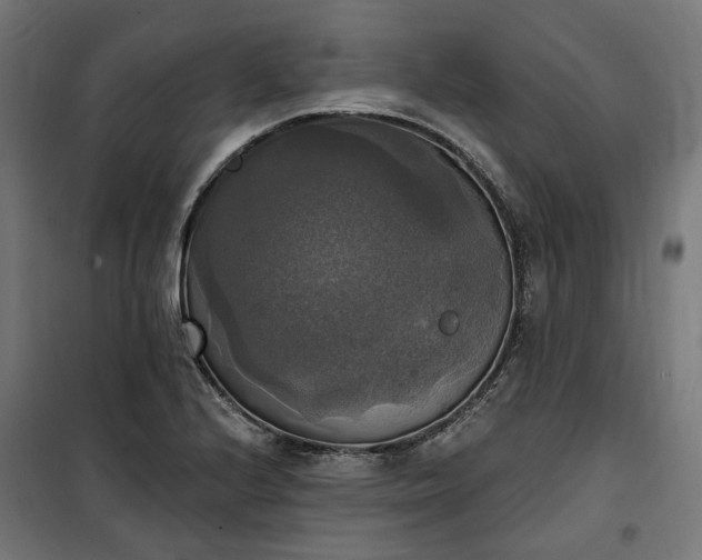 X0000100501224200806201707