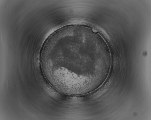 X0000100501226200806201707
