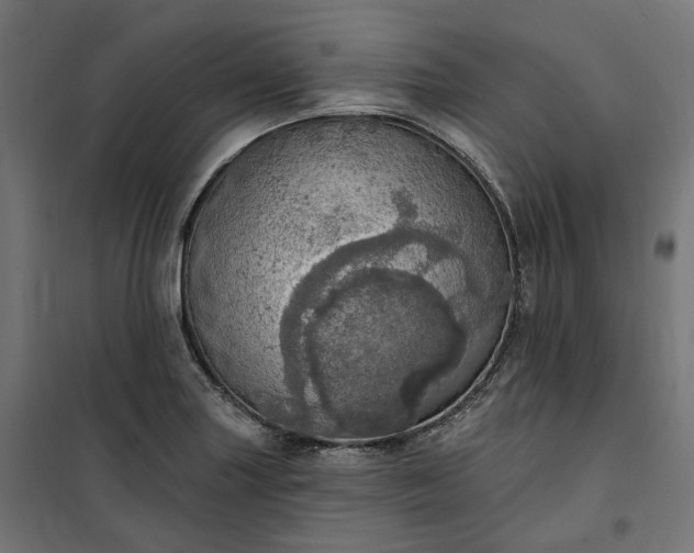 X0000100501227200806201707