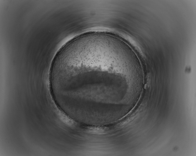 X0000100501229200806201708