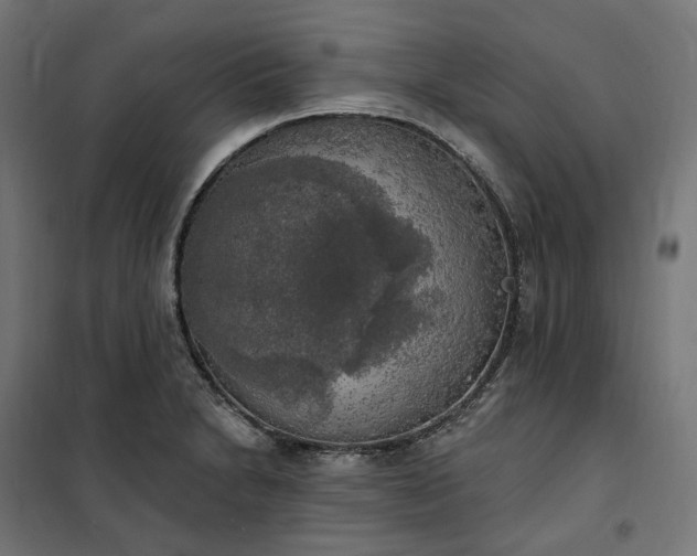 X0000100501230200806201708