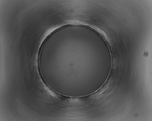 X0000100501231200806201708