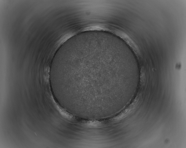 X0000100501233200806201708