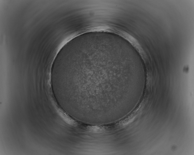 X0000100501234200806201708