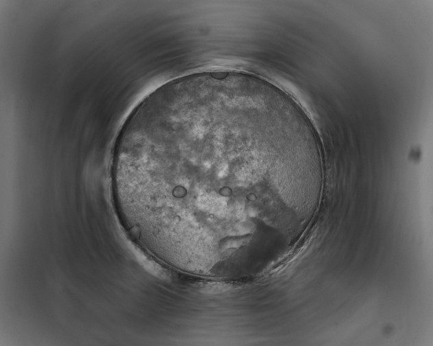 X0000100501235200806201708