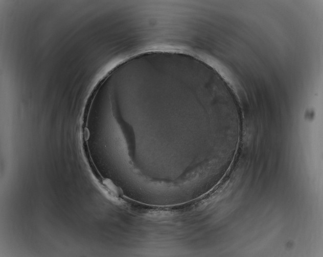 X0000100501237200806201708