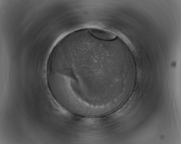 X0000100501240200806201708