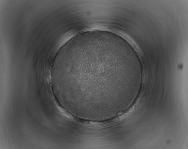 X0000100501241200806201708