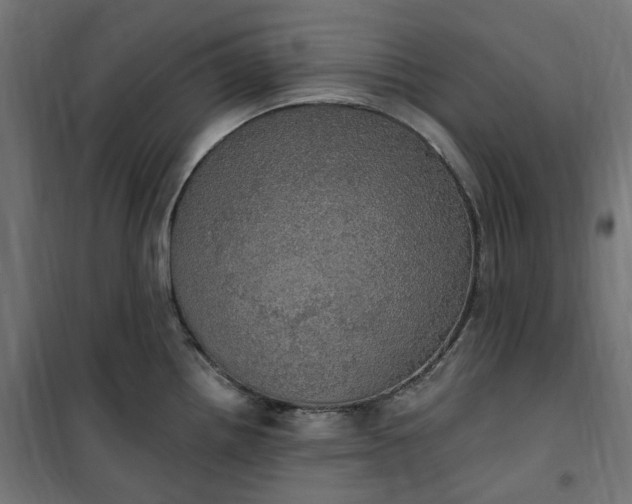 X0000100501242200806201708