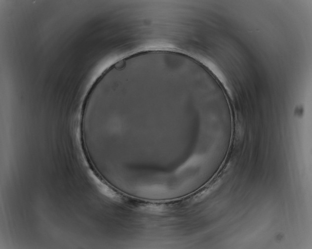 X0000100501245200806201708