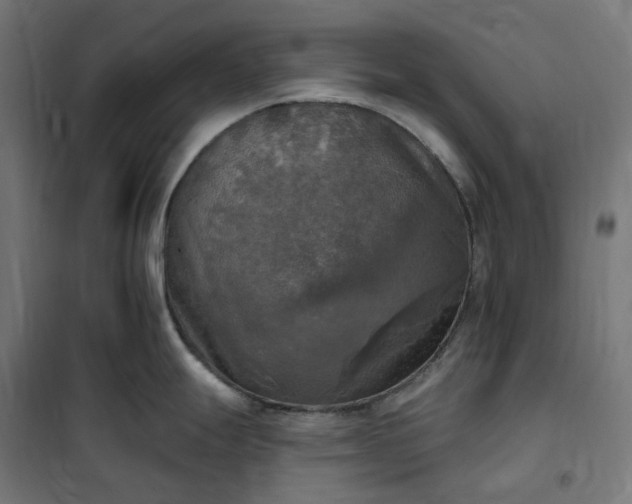 X0000100501247200806201708