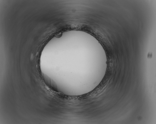 X0000100501249200806201707