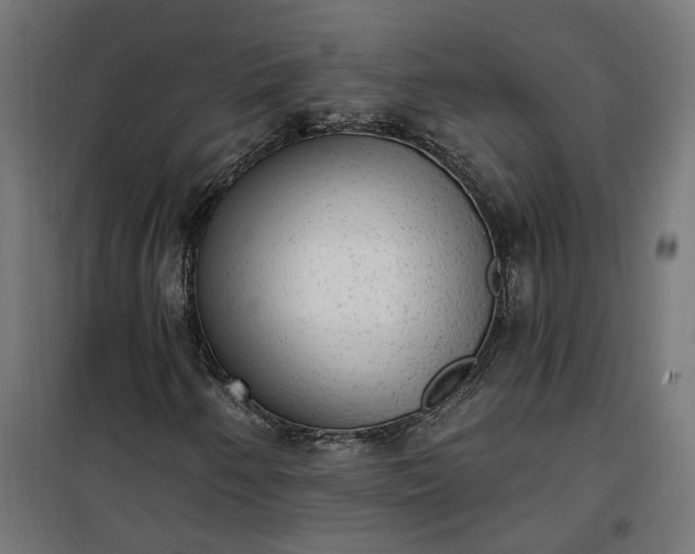 X0000100501250200806201707