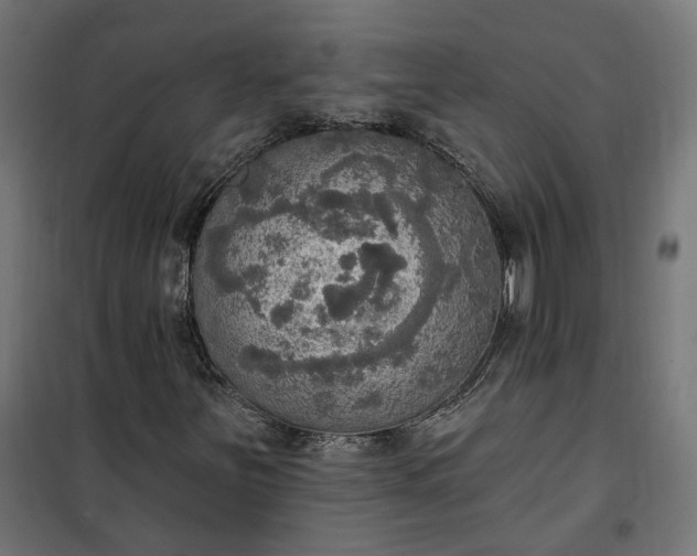 X0000100501251200806201707