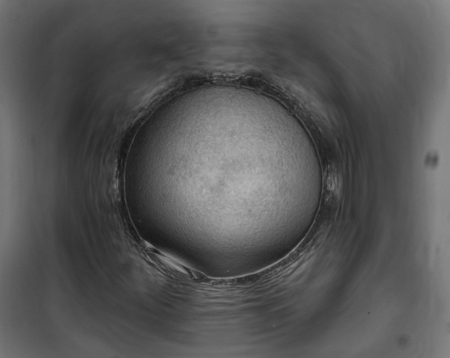 X0000100501252200806201707