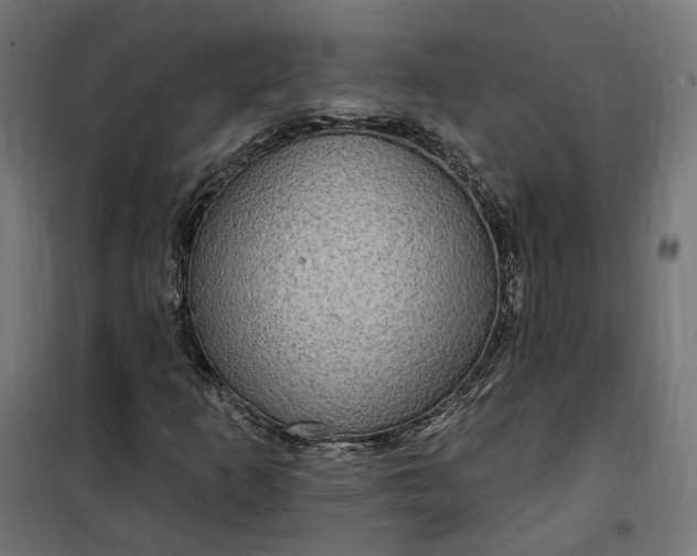 X0000100501253200806201707