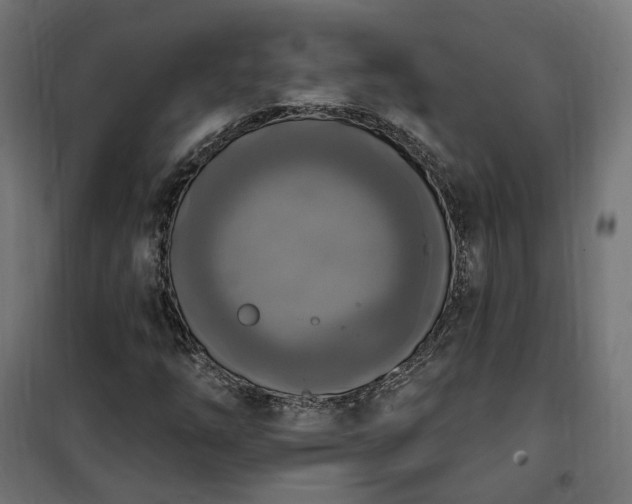 X0000100501254200806201707