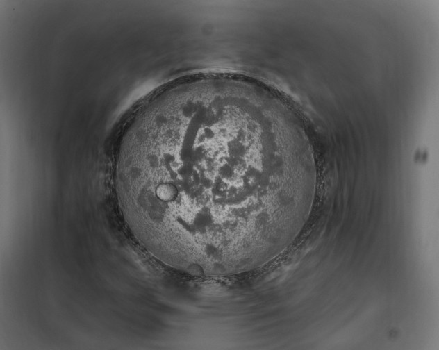 X0000100501255200806201707