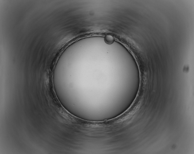 X0000100501257200806201707